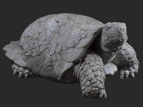 Große Skulptur einer Schildkröte 